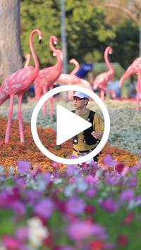 BIB:  <button type="button" onclick="openModal(27588699)" class="btn btn-primary btn-sm float-right" data-toggle="modal" data-target=".modal-high-quality">
                <i class="fa fa-download"></i> Download
                </button>